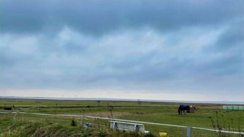 IMG-20251205-WA0054 - 