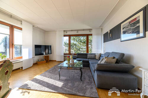 Wohnzimmer - 