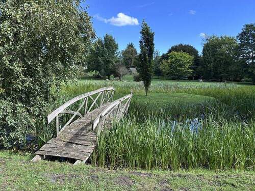 Schwimmteich mit Insel - 