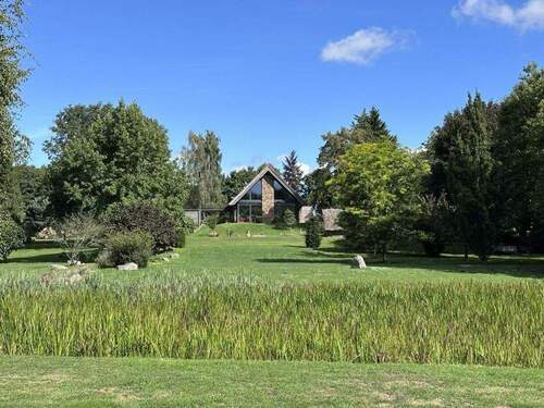 Blick über den Teich - 