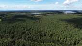Luftbild Nationalpark - 