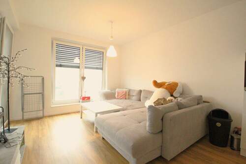 Bild 1 - Wohnen mitten in Ibbenbüren - stilvolle 2-Zimmer-Wohnung (P2-26)