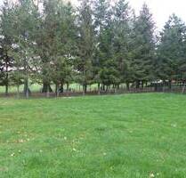 Gartengrundstück im Lampertswalde zu verkaufen - Cavertitz OT Lampertswalde