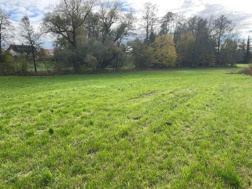 102/106 - landwirtschaftliche Grundstücke in Großkarolinenfeld
