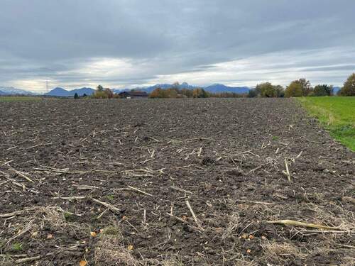 686/687/688 - Grundstück in Rosenheim