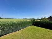 Fernblick vom Garten - 
