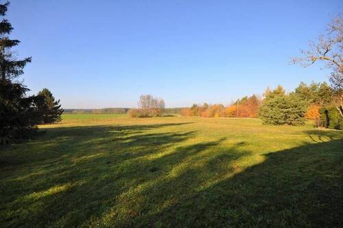 Wiese - 