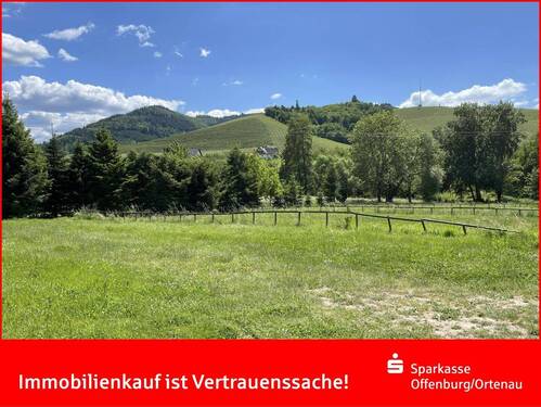 Leben, wo andere Urlaub machen! - Durbach - Großer Garten sucht exklusives Haus!