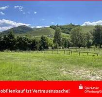 Durbach - Großer Garten sucht exklusives Haus!