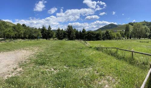 Von der Sonne verwöhnt - 