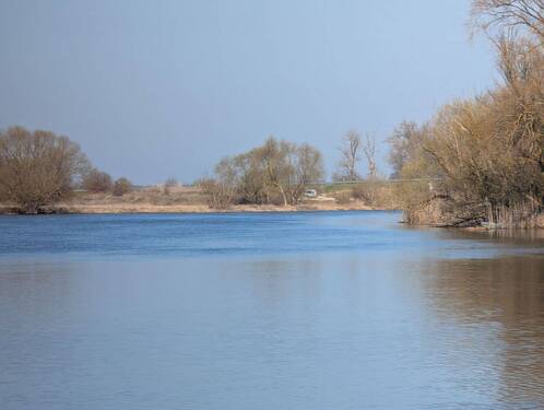 PXL_20260318_092555646.jpg - 