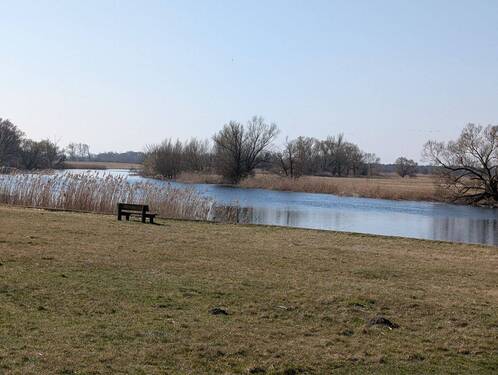 PXL_20260318_092810959.jpg - 