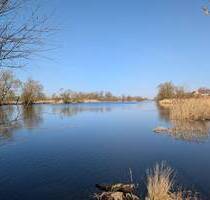Im Natur-und Sternenpark Westhavelland leben...... - Havelaue Strodehne