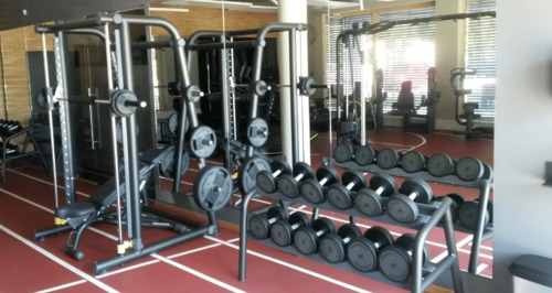 Fitness - 