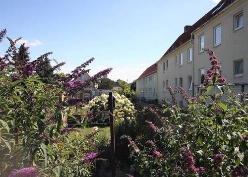 Gartennutzung - 