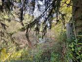 Unten am Teich - 