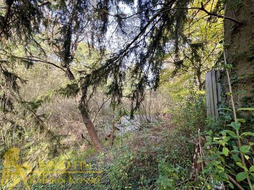 Unten am Teich - 