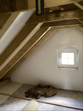 Spitzboden 1 - 