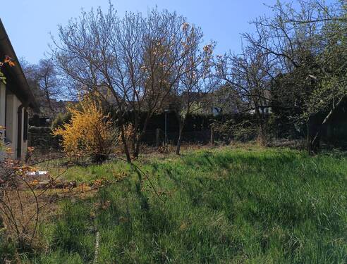 Südausrichtung - Grundstück in Neuhausen (Enz) zum Kaufen