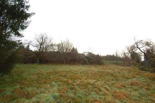 Bild 3 - Grundstück in Eberbach