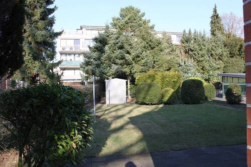 Garten - 3 Zimmer Einfamilienhaus in Geesthacht