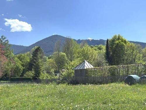 unmittelbare Umgebung - 