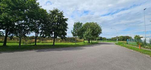 Bild 3 - Grundstück in Jesewitz