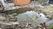 Aussenansicht - 