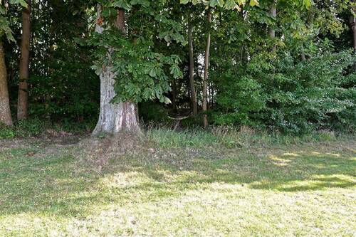 Zugang zum Bootsanleger - 