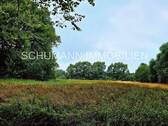 Weide - 