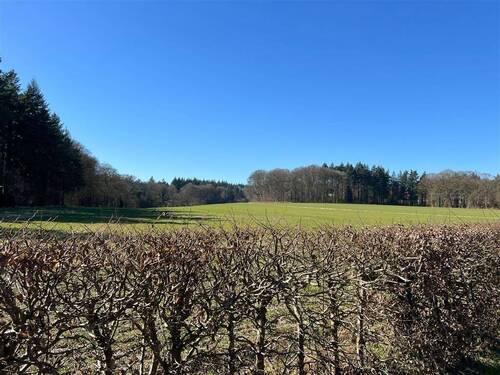 Ausblick - 