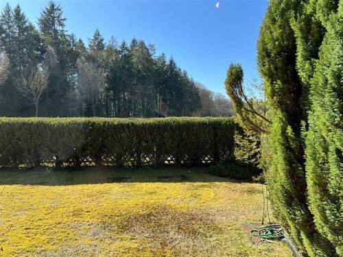 Blick zum Wald - 