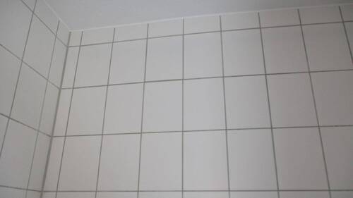 Tageslichtbad weiße Fliesen - 