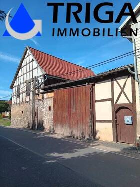 Ansicht von der Straße - Einfamilienhaus mit 150,00 m² in Bleicherode Friedrichsthal zum Kaufen