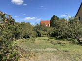 Bild8 - 