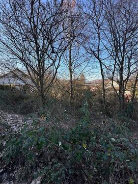 Cronenberger Straße - Besser geht es nicht mehr: Interessantes Bauplatz-Paket zum Super-Preis in Lauterecken!