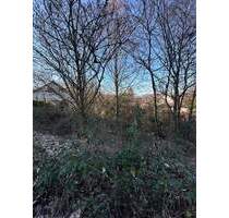 Besser geht es nicht mehr: Interessantes Bauplatz-Paket zum Super-Preis in Lauterecken!