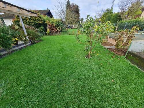 Blick in den Garten - 