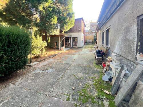 WhatsApp Image 2026-03-06 at 12.51.52 (4) - 