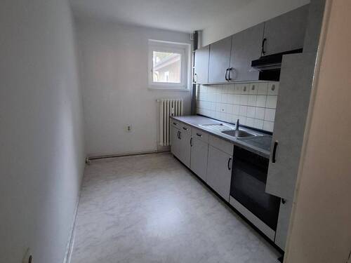 20251113_102120.jpg - 