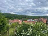 Ausblick vom Garten - 