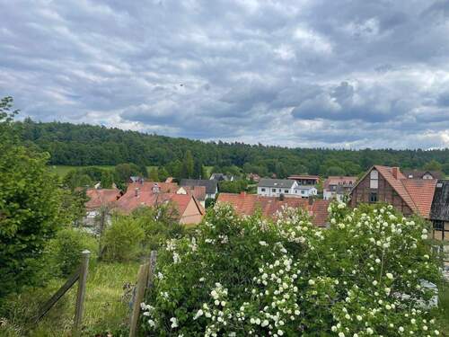 Ausblick vom Garten - 