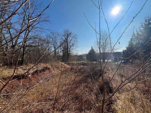 Ansicht - Attraktives, Bauträgerfreies Baugrundstück in Hesserode für nur 44 EURqm