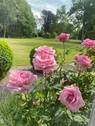 Lage - 