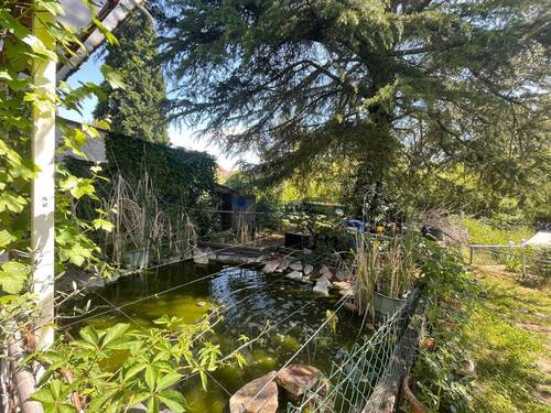 Größzügiger Garten mit Teich - 