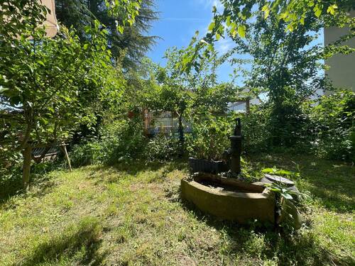 Gartenansicht ins Grüne - 
