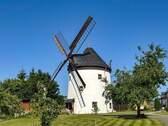 Ferienhaus - 