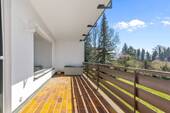 Balkon mit Blick ins Güne - 
