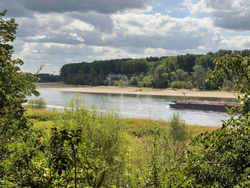 Den Rhein vor der Tür - 