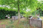 Hochbeete - 